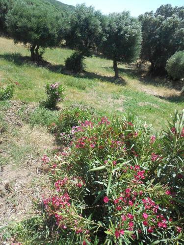 Agroturismo L' Incantu