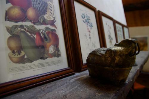 Bed & Breakfast Podere Pinzicalari