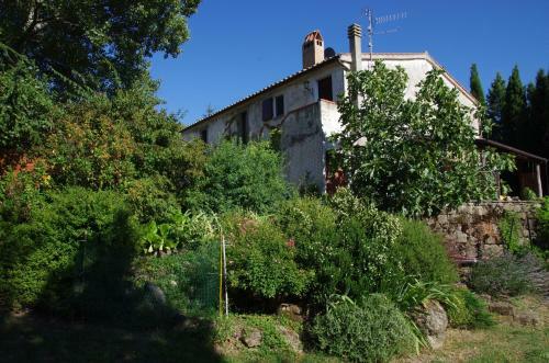 Bed & Breakfast Podere Pinzicalari
