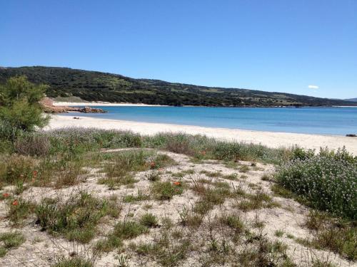 Apartamento Appartamenti Mare Blu