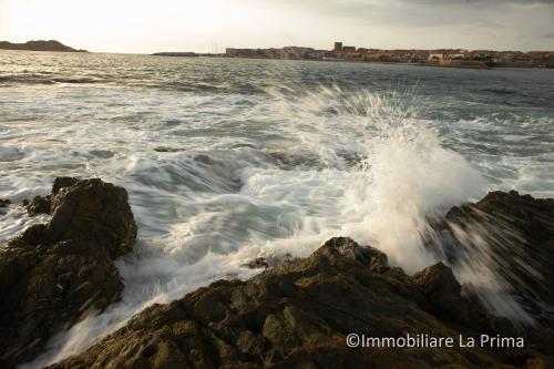 Apartamento Appartamenti Mare Blu