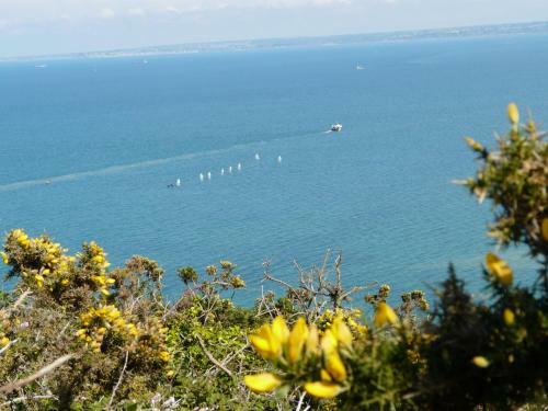 Apartamento Studio Des Rosaires