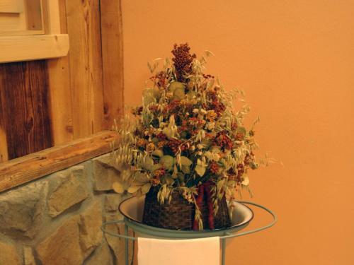 Hotel Pensione Dolomiti