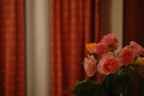 Hotel Kalipso