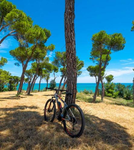Agroturismo B&B Scerni