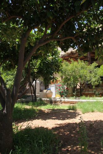 Dream Villa Stalis