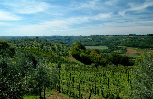 Agroturismo Il Borghetto Country Inn