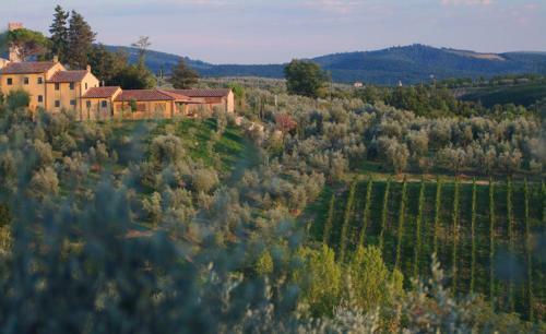 Agroturismo Il Borghetto Country Inn