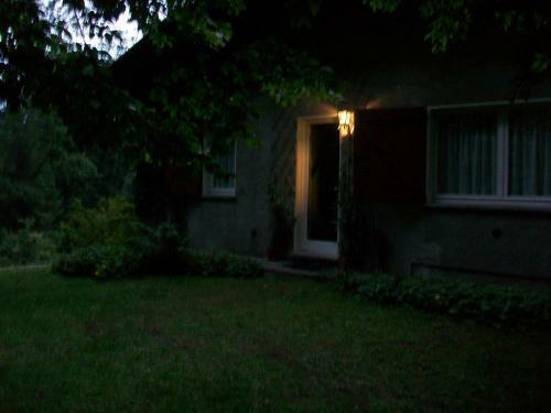 B&B L'albero Maestro