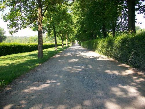 B&B L'albero Maestro