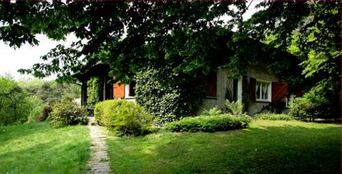B&B L'albero Maestro