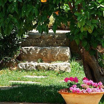 Agroturisme Finca Sa Maniga
