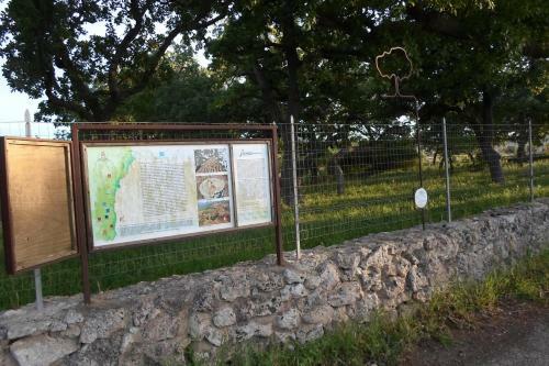 Agroturismo Tenutaverde