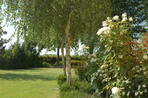 B&B Temenos