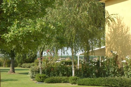 B&B Temenos