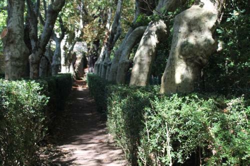 Bed & Breakfast L'ecrin D'osely