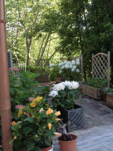 Bed & Breakfast L'ecrin D'osely