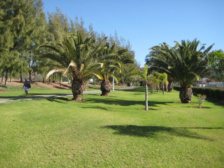 Apartamentos Tarahal
