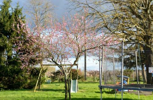 Bed & Breakfast Chambres D'h�tes La Pr�v�t�