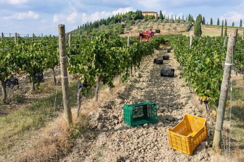 Agroturismo Argiano Posta L'orciaia