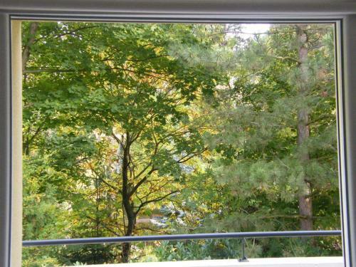 Apartamento Locations Vacances Obernai