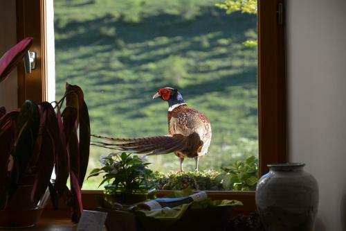 Hostal Val Lachard