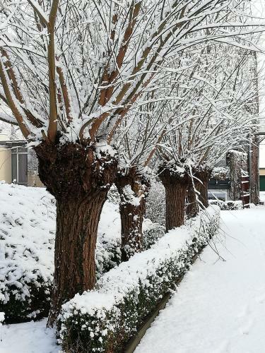 B&B 't Huys Van Enaeme