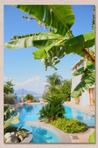 Bed & Breakfast Villa Ketty Resort