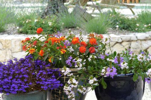 Bed & Breakfast La Roseraie-dr�me