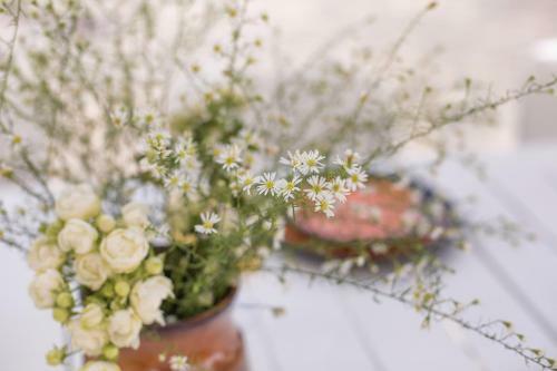 Amore Rentals - Villa Il Noce