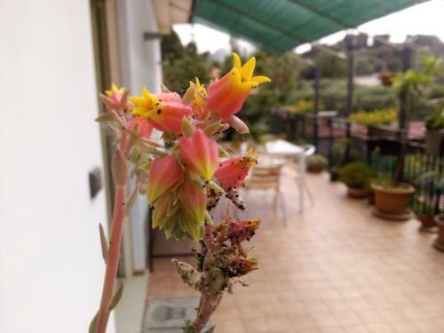 Apartamento Casa Vacanze Terme