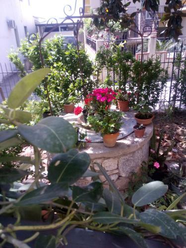 Apartamento Casa Vacanze Terme