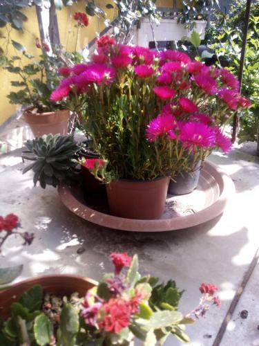 Apartamento Casa Vacanze Terme