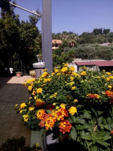 Apartamento Casa Vacanze Terme