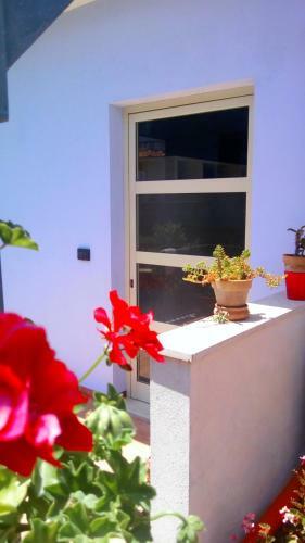Apartamento Casa Vacanze Terme