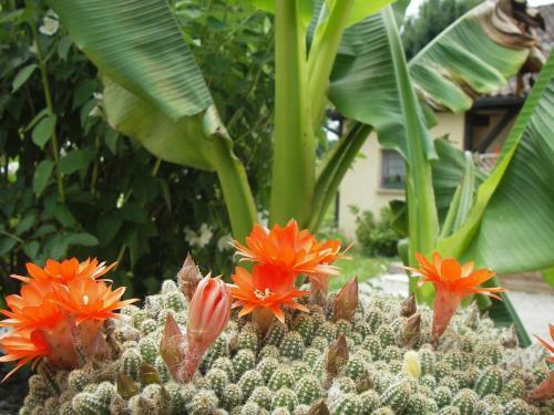 Agroturismo Les 4 Saisons