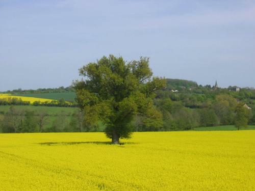 Bed & Breakfast Chambres D'h�tes Les Potiers