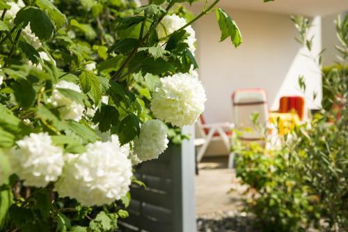 Apartamento Feriendomizil Buchenweg