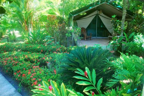 Bed & Breakfast Rafiki Beach Camp