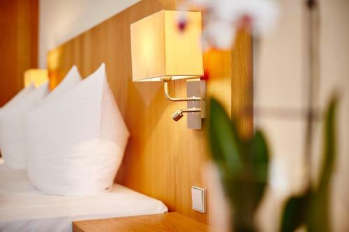 Hotel Falken