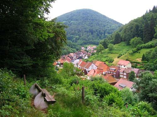 Spacious Holiday Home In Zorge Germany Near Ski Area