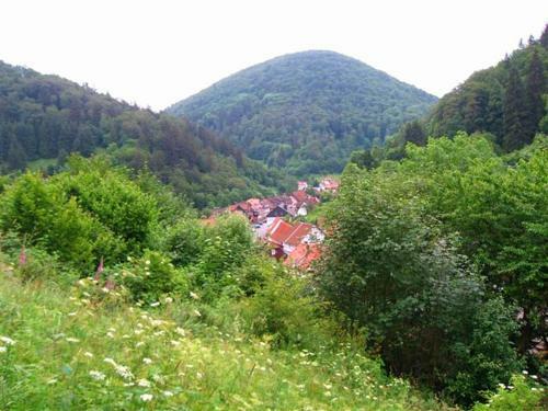 Spacious Holiday Home In Zorge Germany Near Ski Area