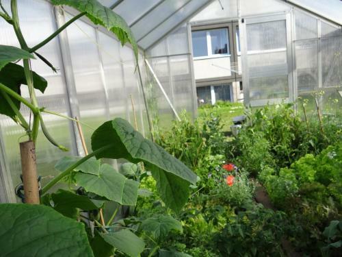 Hostel Stralsund