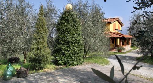 Agroturismo La Locanda Cuccuini