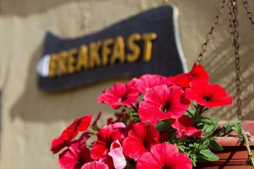 Apartamento Residence Solenevesila B&B
