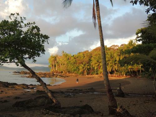 Corcovado Adventures Tent Camp