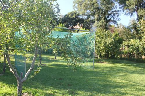 Cork Tree Villa
