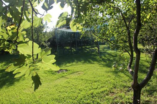Cork Tree Villa