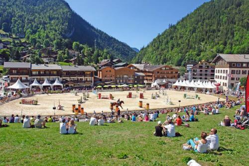Aparthotel R�sidence - Les Grandes Alpes