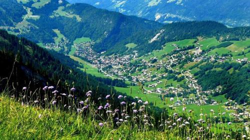 Aparthotel R�sidence - Les Grandes Alpes